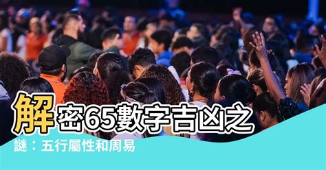 數字65|65數字：化險為夷的關鍵